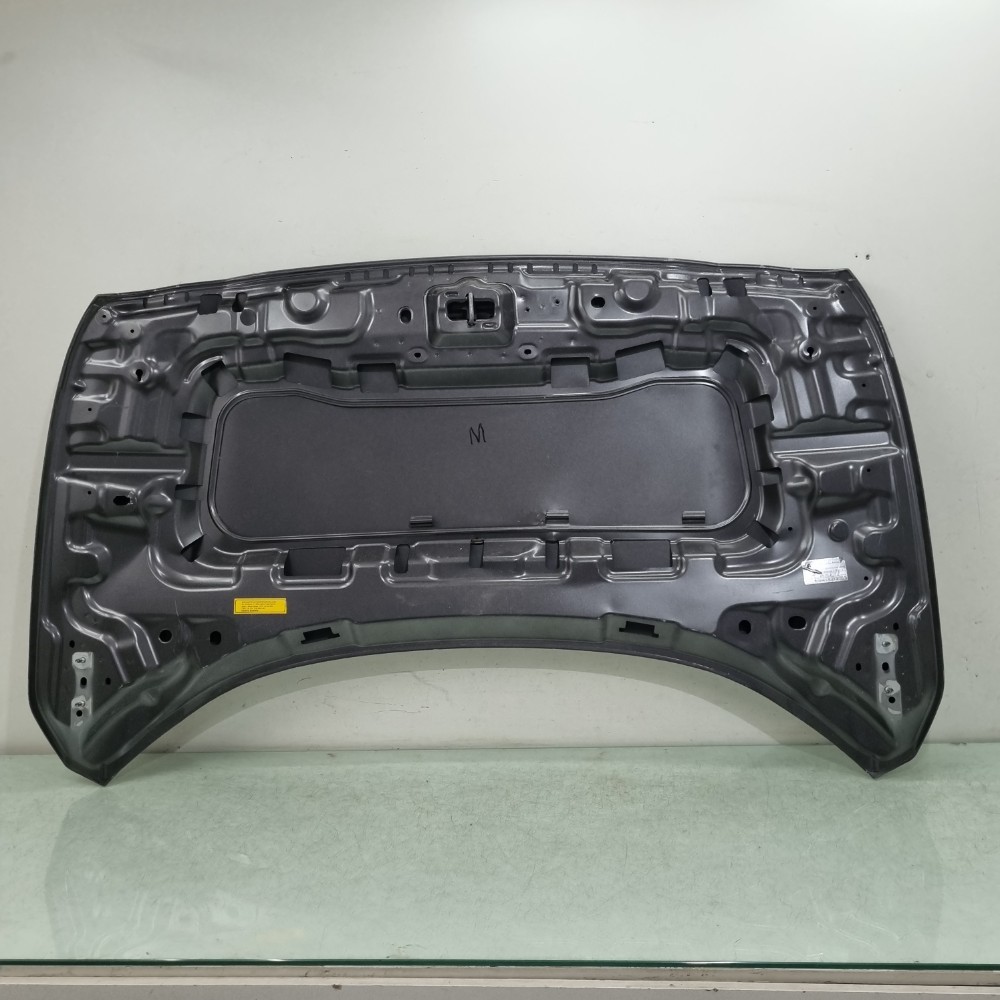 Capô Dianteiro Fiat Pulse 2022/2025 Recondicionado Semi Novo 7