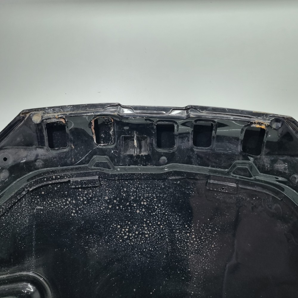 Capô Peugeot 206 Modelos 2001/2008 5