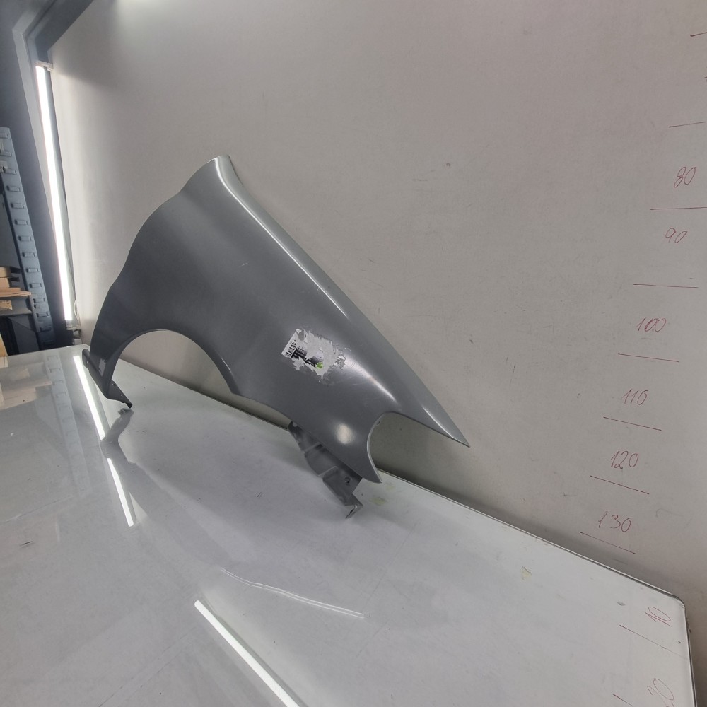 Paralama Dianteiro Direito  Fiat Palio Modelos 2004/2007 2