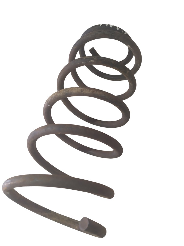 Mola Susp Dianteira Renault Scenic 1999 2000 2001 A 2012