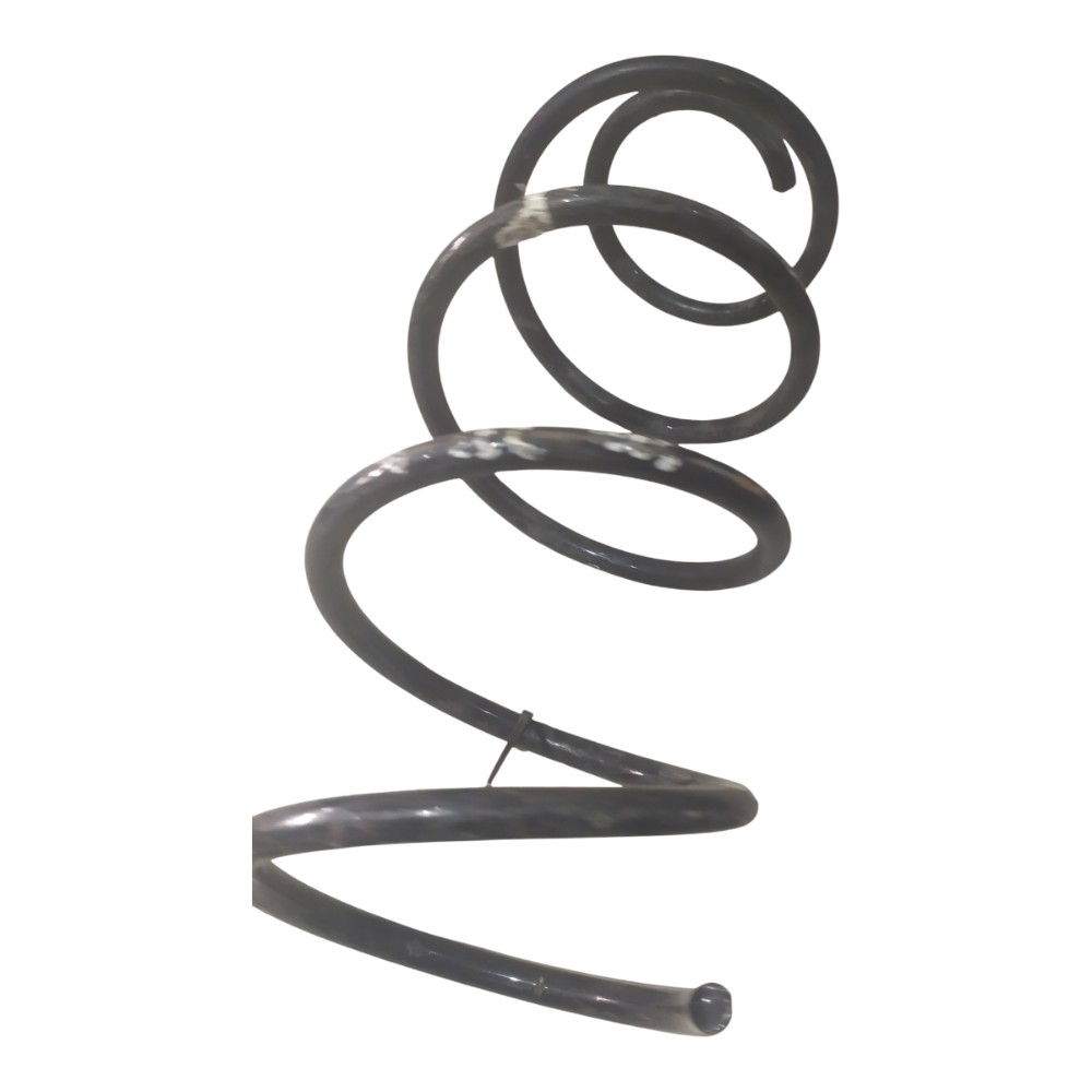 Mola Dianteira Bmw 320i 2005 A 2014