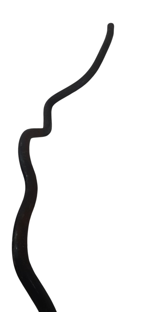 Barra Estabilizadora Suspensão Renault Scenic 1999 A 2007