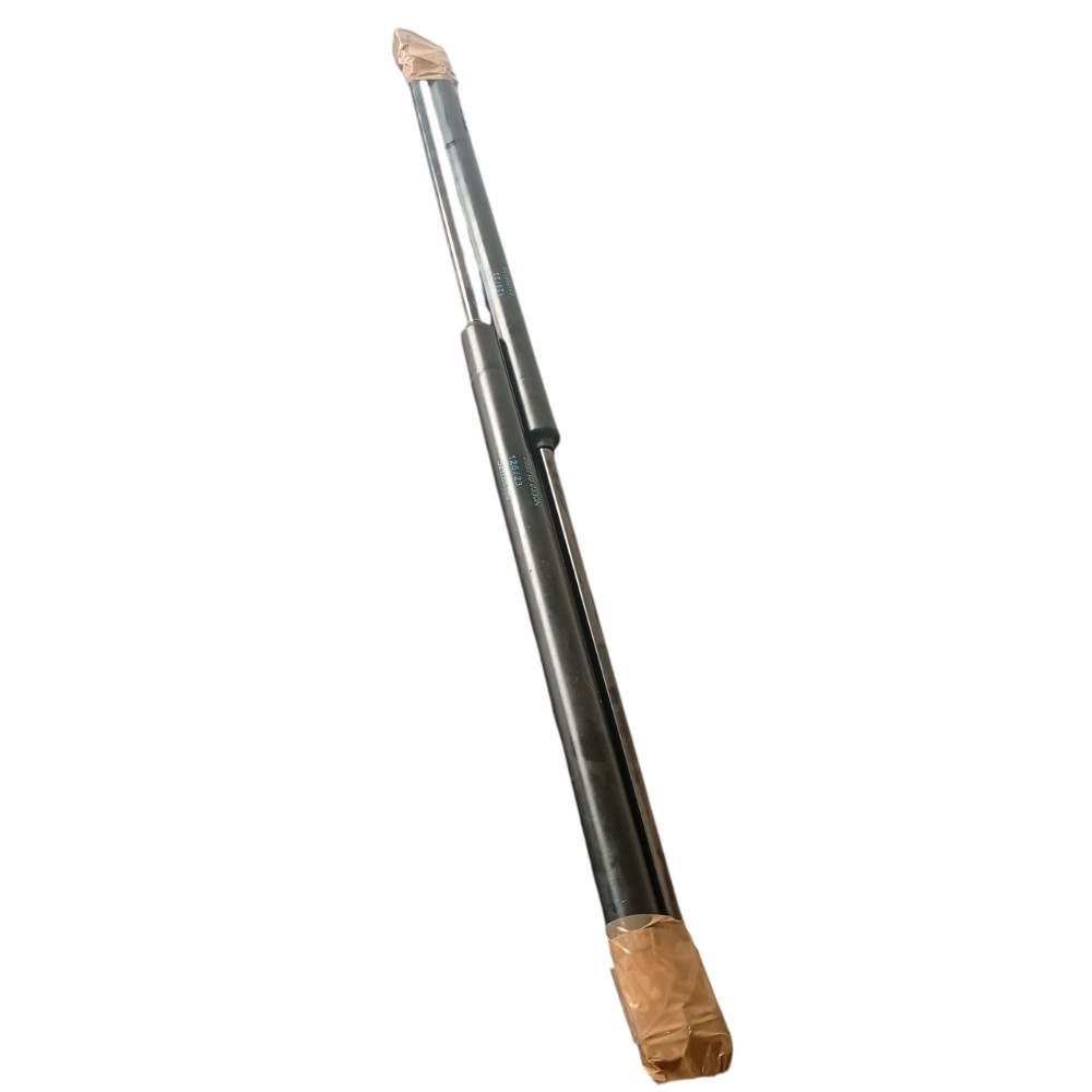 Par Amortecedor Porta Malas Fiat Argo 2023 Original