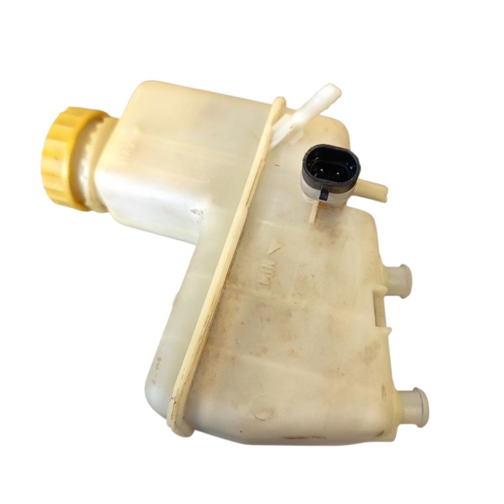 Reservatório Óleo Do Freio Fiat Stilo 2005 A 2010 Original