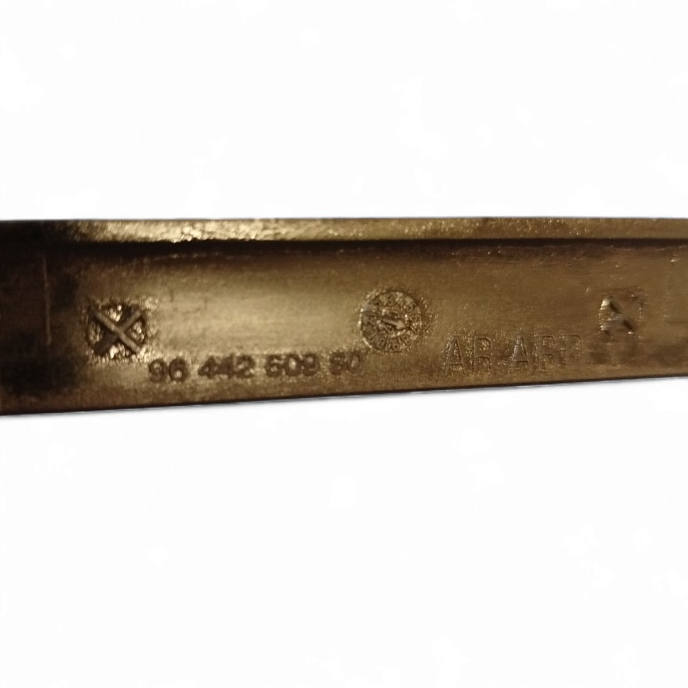Moldura Externa Porta Dianteira Direita Citroen C3 6