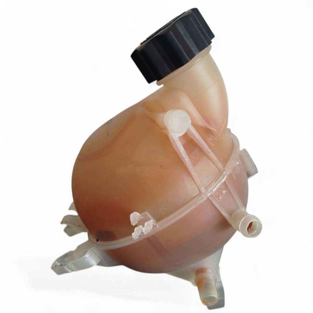 Reservatório Dágua Radiador Citroen C3 2004 A 2013 Original