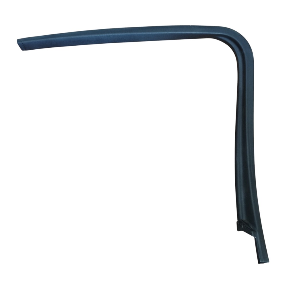 Moldura Porta Traseira Esquerda Ford Focus 2009 Original