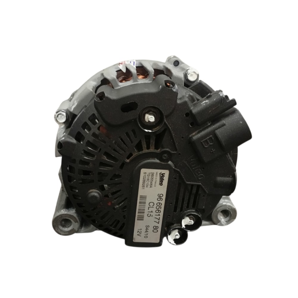 Alternador 2.0 Pallas Citroen Peugeot C4 307 308 2007 A 2014 REVISADO 7