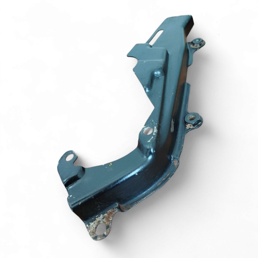 Capa Lateral Protetora Correia Fiat Palio 1996 1997 Original