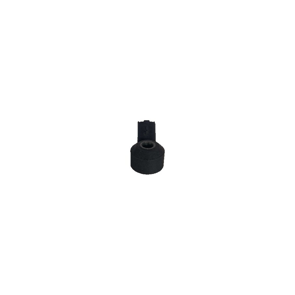 Sensor Detonação Peugeot 206 207 307 1999 2015 4