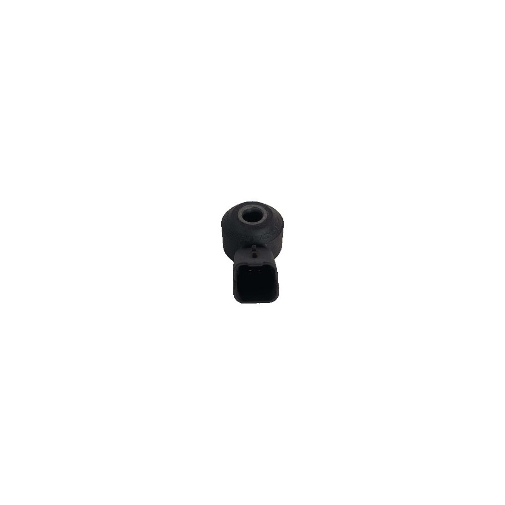 Sensor Detonação Peugeot 206 207 307 1999 2015 2