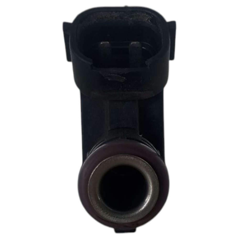 Bico Injetor Renault Kwid Logan Sandero 1.0 3cc Original 3