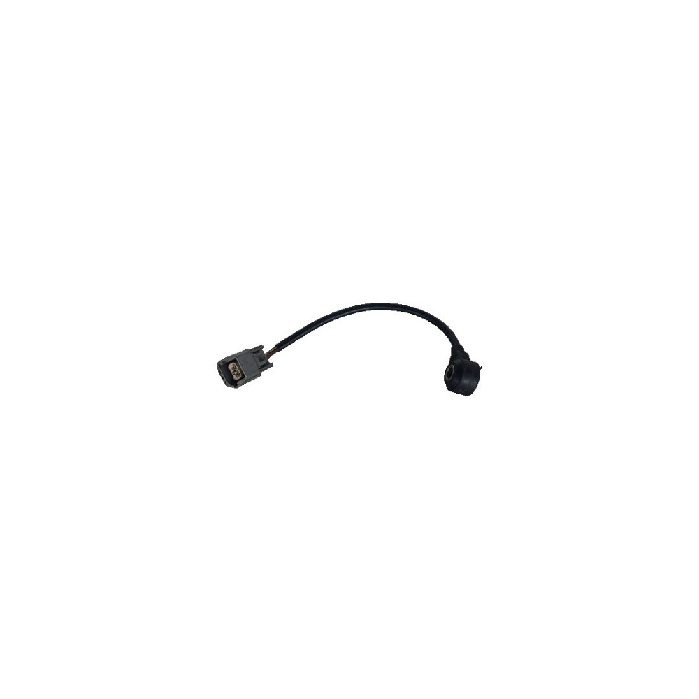 Sensor Detonação 2.0 Ford Ecosport Fusion 2015 2016