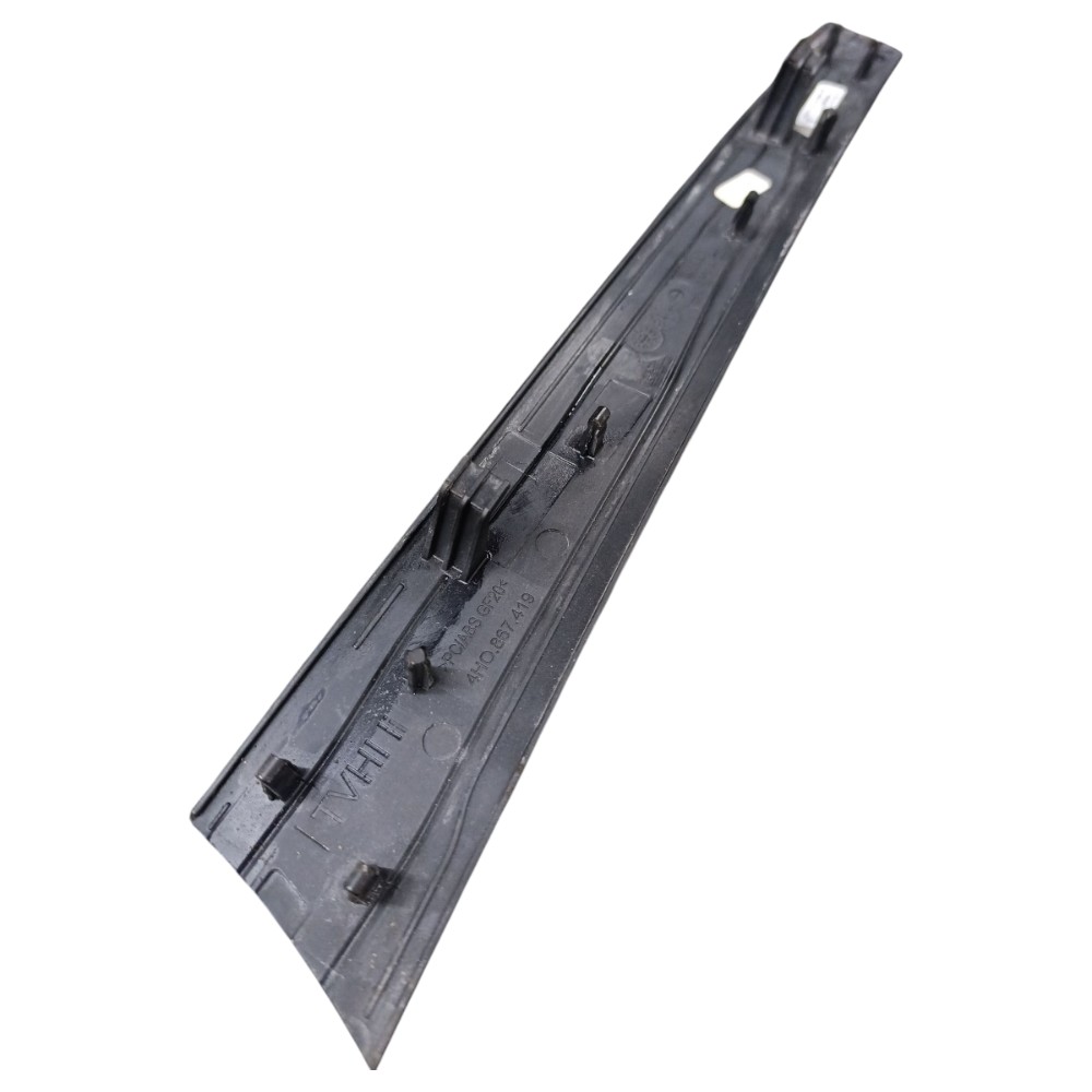 FRISO porta traseira esquerd Audi A8 2011 4